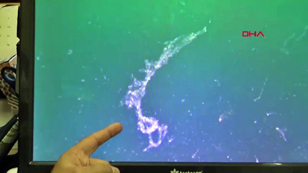 Kabus geri döndü: Sessiz ve derinden ilerliyor! Üniversiteden bilim insanları çalışma başlattı 19